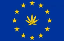 Legalizacja marihuany w całej Unii Europejskiej? Ruszają prace!