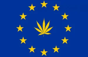 Legalizacja marihuany w całej Unii Europejskiej? Ruszają prace!