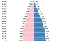 Population Pyramids of the World from 1950 to 2100