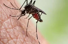 Od czerwca w Ugandzie odnotowano 1,4 miliona przypadków zakażenia malarią