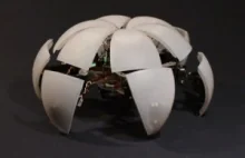 2 roboty pająki | Technofil