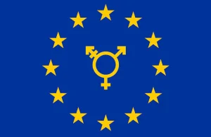 PE naciska na adaptację ideologii Gender/LGBT przez państwa członkowskie UE