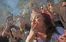 Posiadanie marihuany i uprawa na własny użytek zdekryminalizowane w Chile!