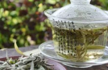Popularne sposoby parzenia herbaty