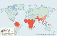 Zagrożenie malarią na świecie