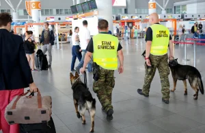 Psy na służbie w straży granicznej wykrywają narkotyki, bomby czy... monety