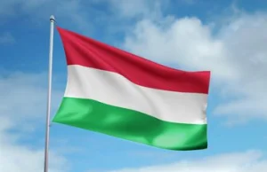 Premier Węgier : "Stawka podatku dochodowego powinna wynosić 0%"