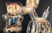 Anatomiczne zabawki od Jason Freeny