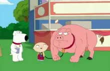 Family Guy - Stewie's Pig