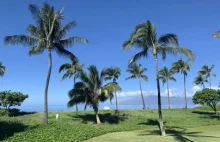 7 ciekawostek o Hawajach