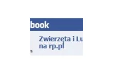 Gołąb przemycał narkotyki do więzienia