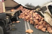 Świnie wysypały się na drogę! Dojazd do autostrady A4 niemożliwy.