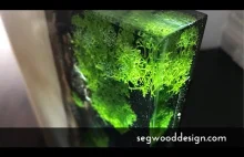 DIY - lampka led z żywicy epoksydowej, drewna i mchu