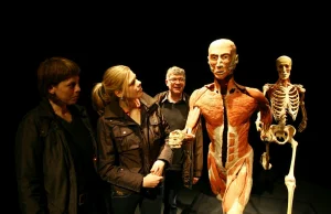Kontrowersyjna wystawa z ludzkich ciał von Hagensa pierwszy raz w Polsce