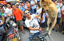 Mówimy NIE dla uboju zwierząt na festiwalu psiego mięsa w Yulin!