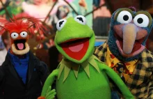 Kermit wraca! 8 faktów o Muppetach, które powinieneś znać