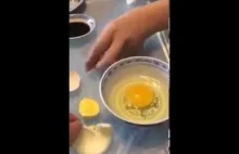 Fake Egg