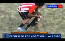 Argentyński piłkarz próbuje się pozbyć psa z boiska...