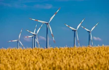 Polska z największą w Europie aukcją dla farm wiatrowych na lądzie
