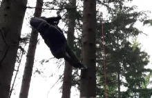 Polski paralotniarz wylądował na drzewie