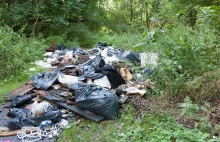 Coraz większy problem ze śmieciami w lasach miejskich.