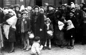 Artykuł krytykujący Jana Grabowskiego, obarczającego Polaków winą za holokaust