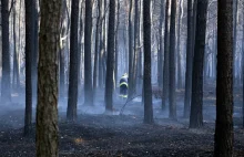 Ogromne pożary lasów k. Kadzidła zdjęcia, wasze wideo, aktualizacja - Moja...