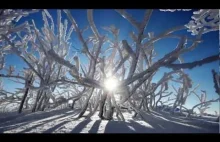 Bieszczady Zimą - Baśniowa Kraina