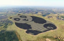 W Chinach powstała najsłodsza elektrownia słoneczna świata. Wygląda jak...