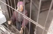 92-latka została zamknięta w chlewie i więziona tam latami przez swojego syna!