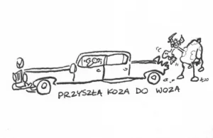 Przyszła koza do woza!