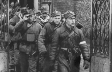 Mniej niż 1% Polaków przystąpiło do walki z komunistami po II wojnie światowej