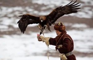 Polowanie z orłami w Kazachstanie