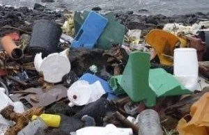 Chile zakzuje plastikowych torebek na zakupy