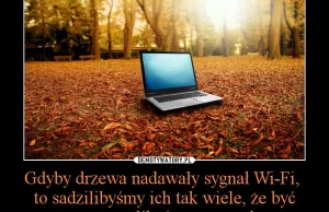 Gdyby drzewa nadawały sygnał Wi-Fi, to sadzilibyśmy ich tak wiele, że być...