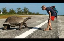 W trakcie wyprawy na Seszele reporter National Geographic zaskoczył parkę żółwi