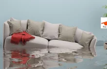 How Long Does It Take To Get Water Damage?