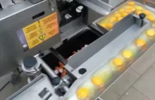 Maszyna do jajek robi furorę w sieci! 1,3 mln wyświetleń!