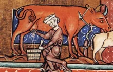 Seks ze zwierzętami. Przemilczany problem średniowiecza