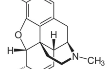 Morfina [ENG]
