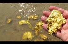 Złoto w Rosji zbieramy jak pijawki, z tym tylko jest go więcej.