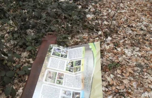 Wandale zniszczyli ścieżkę edukacyjną. „Tablice doszczętnie połamane”