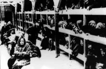 67 lat temu Armia Czerwona wyzwoliła niemiecki obóz Auschwitz..