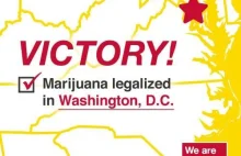 W USA kolejne 3 stany legalizują marihuane. A w Polsce jak w lesie...