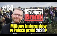 Miliony imigrantów w Polsce przed 2020? Grzegorz Braun