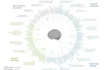 Every Single Cognitive Bias in One Infographic