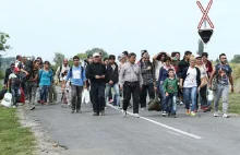 Niemieccy burmistrzowie: Chcemy więcej uchodźców!