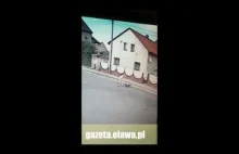 Agresywny amerykański Pit Bully zaatakował i pogryzł 18-latkę w Osieku