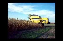 Jesień 2015- Koszenie kukurydzy| New Holland | Valtra | Wielton