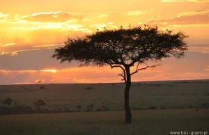 Masai Mara – bezkresny eden